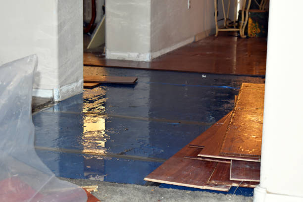 Professional Burst Pipe Cleanup technician working in Maud, OK